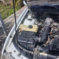 فراشه • ١٩٩٦ • رقم ديالى