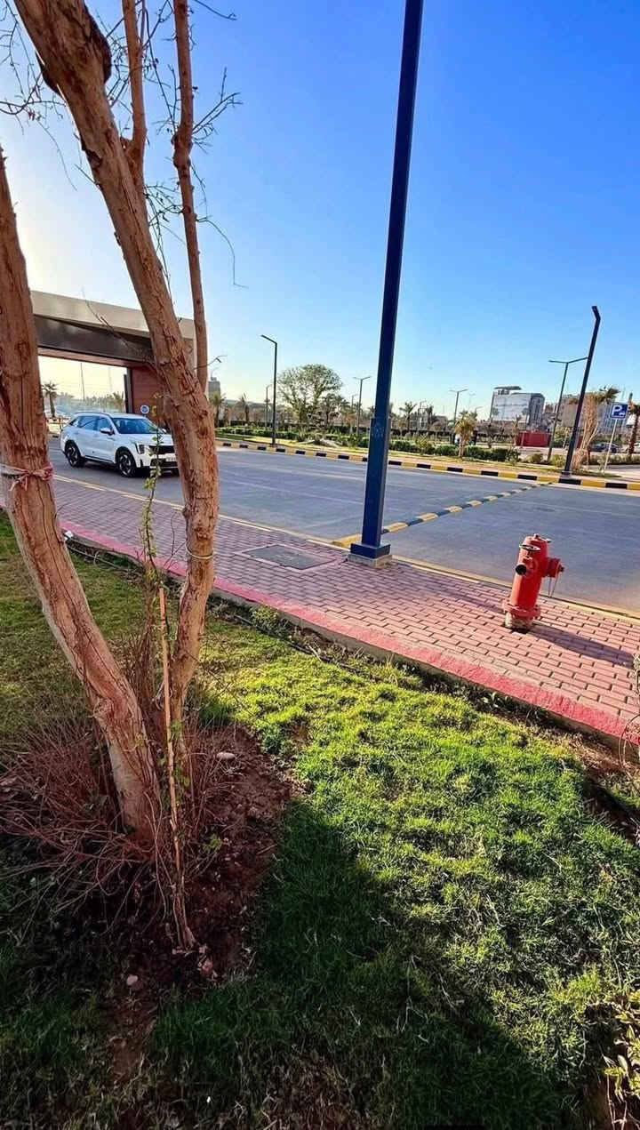 شقة للبيع في مجمع مارينا السكني
🔹 المساحة: 171 متر
🔹 عدد الغرف: 3 غرف نوم
🔹 الطابق: 13 – بناية C2
🔹 الإطلالة: مفتوحة ومميزة
💰 السعر: أقل من سعر السوق 🔥 فرصة ما تتكرر

📲 واتساب مباشر:
***********
