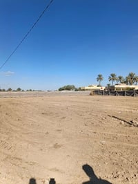 بابل الامام علي • ٢٠٠٠م • طابو زراعي