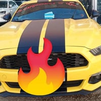 موستنك خليجي • ٢٠١٥ • رقم اربيل