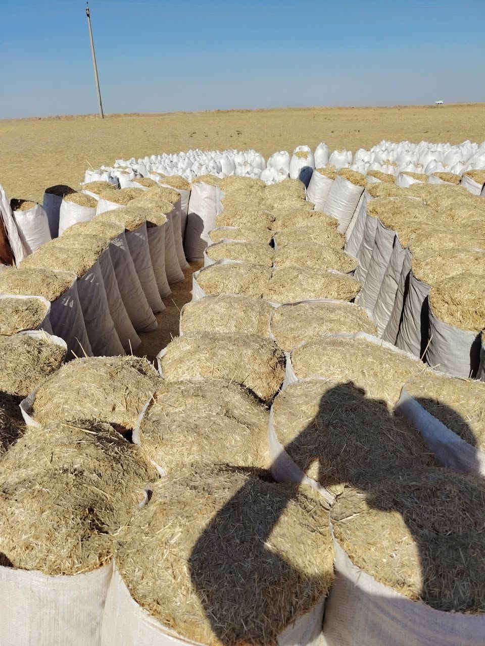 سلام عليكم يوجد تبن حنطه مال السنه شرط ابيض ونضيف حجم الكيس 55 سعر الزوج 3 ويوجد حجم 60 سعر الزوج 4 يوجد توصيل ال كافت جنوب الموصل من حمام العليل ال شركاط واستفسار ***********
