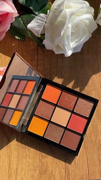 شدو كوكي • بدرجتين • ألوان واضحة