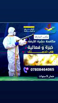 #الأرضة تشتغل من الداخل، تتحرك بصمت وتسبب ضرر كبير بدون ما تترك علامة ...