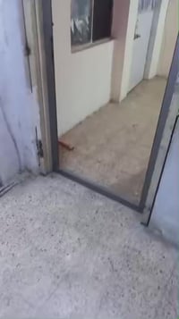 شقة للإيجار الامين قرب البازيخنة   ‭0771 433 9992‬