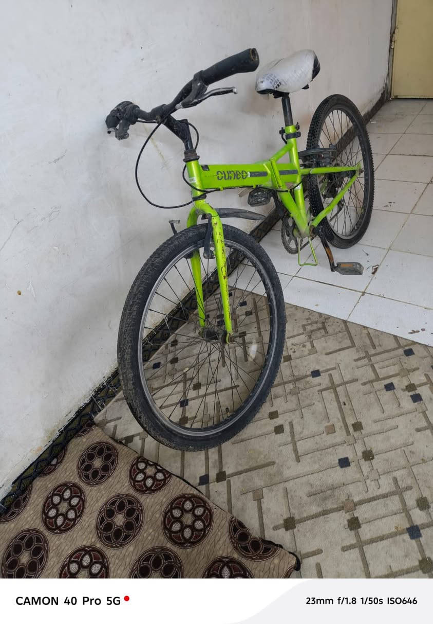 للبيع بايسكل سبعه گير ابريكات تايرات جددد السعر 80 العنوان كركوك حي الواسطي


**إذا كنت صاحب هذا الإعلان وتريد حذفه لأي سبب، رجاءا أرسل رسالة إلى الدعم الفني**