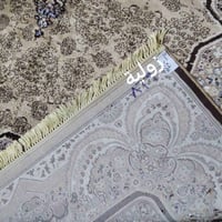 زولية ١ • زلات ٢ • الحي الجمهوري