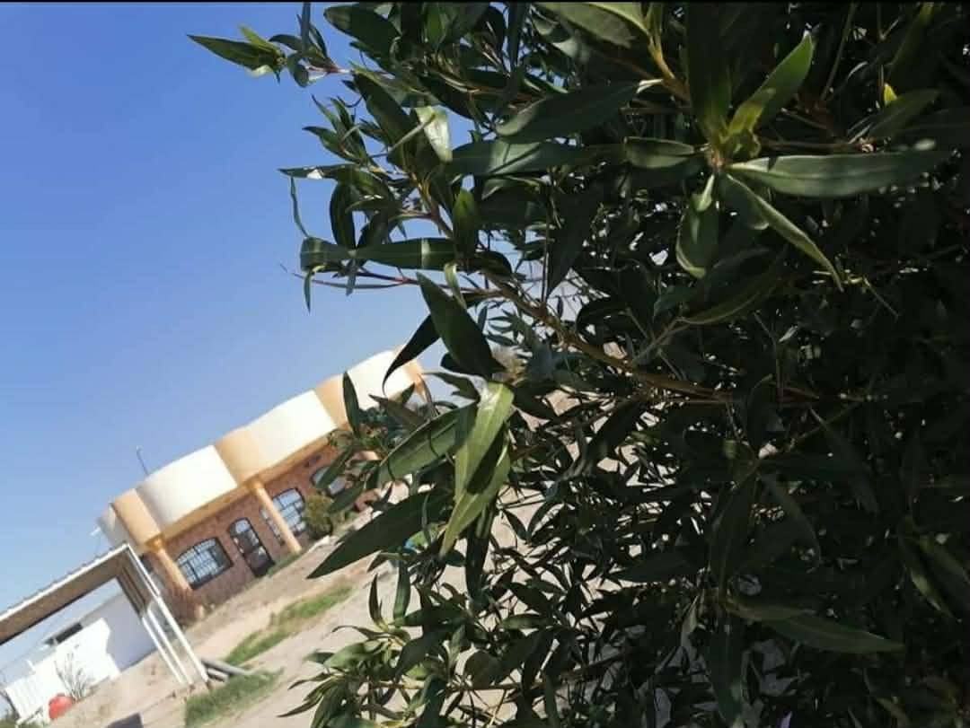 بلاش اللي يريد يجي بمكان بي راحه بال وخضار
  ارض 2 دونم ونصف مع بيت حديث مساحة 300 متر طابو زراعي سند 25  
يبعد عن التبليط 50 متر فقط 
متوفر جميع الخدمات من اساله وكهرباء وماء سقي 
الموقع / بابل ناحية الشوملي قرية الجوادية  
للاتصال *********** السعر مناسب اللي يرغب يتصل برقم
