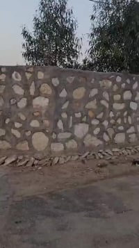 ٣٠٠٠م • أرض زراعية • حله شارع ١٠٠