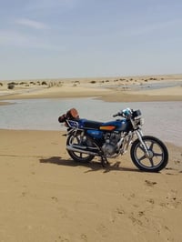 حجي البيع 21 اني بلبر راسني وتراسني علا صفحتي سمي ابو ادم الحجيمي وتسا...