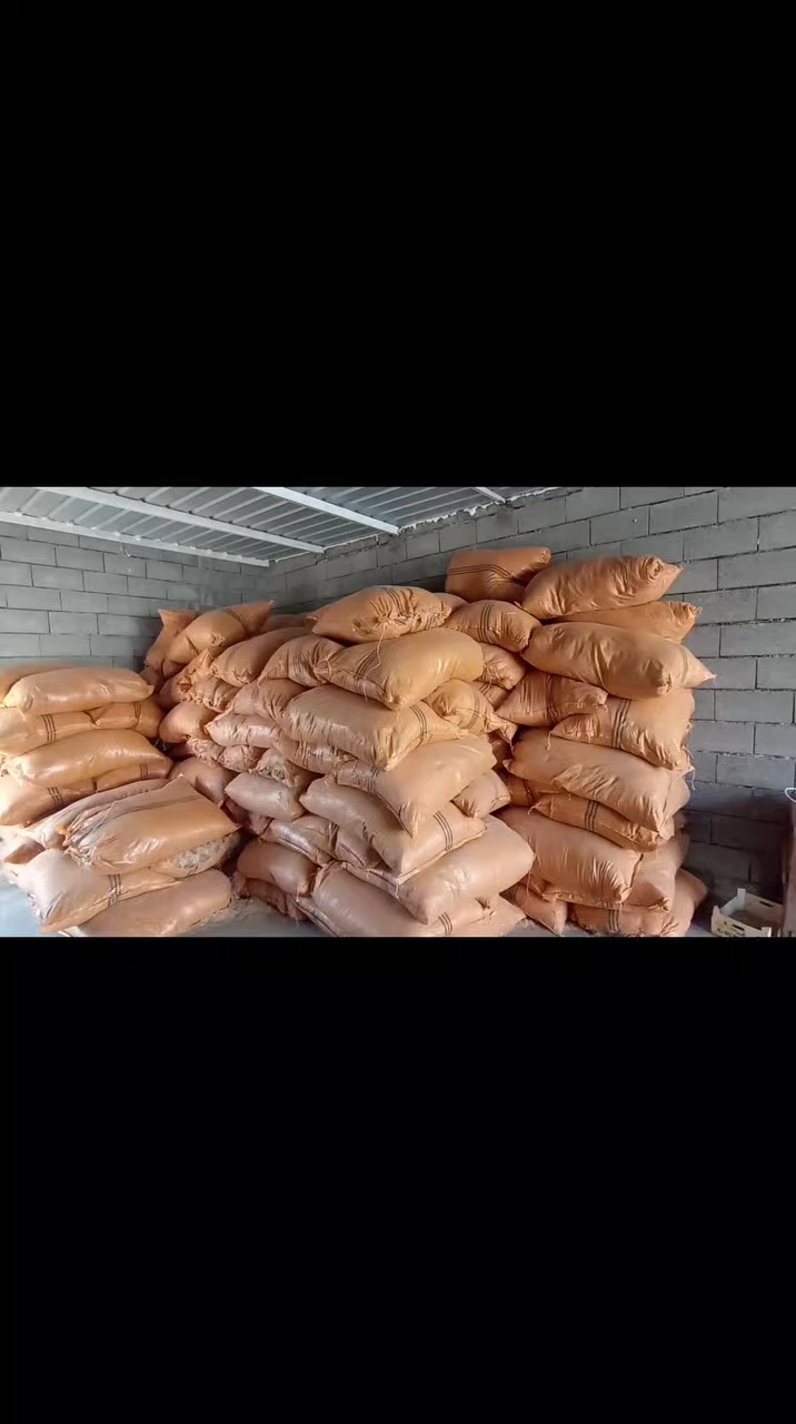 تم وصول تبن علف جديد الموقع حي البكر شارع العام السايدين قبال مشتل الشقي سعر الشليف 4 الاف شليف حجم الكبير.  ادمن ❤️


**إذا كنت صاحب هذا الإعلان وتريد حذفه لأي سبب، رجاءا أرسل رسالة إلى الدعم الفني**