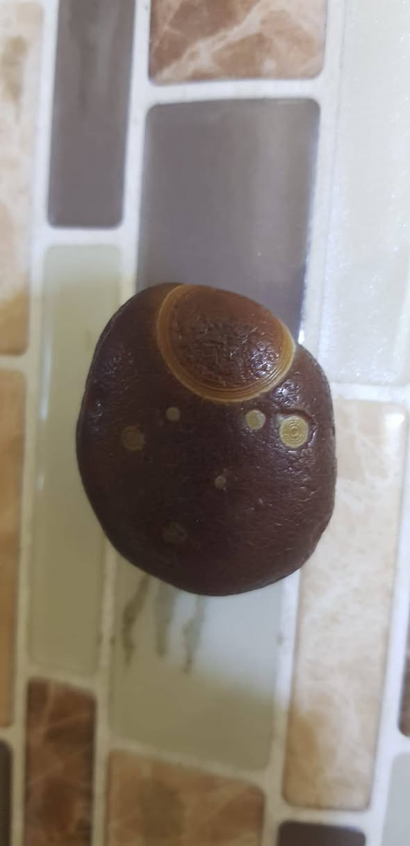 سليمانيات للبيع مدينة الصدر


**إذا كنت صاحب هذا الإعلان وتريد حذفه لأي سبب، رجاءا أرسل رسالة إلى الدعم الفني**