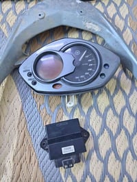 عقل دشبول سبايدر سكنس فحل ياباني للبيع 07714504709