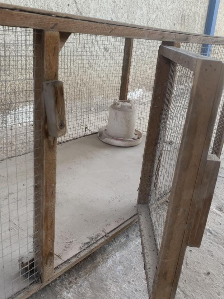 قفص للبيع
نضيف استعمال شهرين
رايدة ب١٥
مكان بصرة ياسين خريبط


**إذا كنت صاحب هذا الإعلان وتريد حذفه لأي سبب، رجاءا أرسل رسالة إلى الدعم الفني**