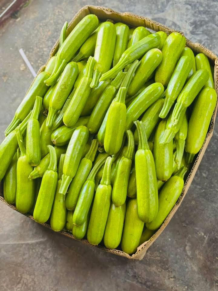 🛒 كل احتياجات البيت… بمكان واحد!
تعب السوق؟ خلّي
علوة امير بسماية التوصيل  َمطعم حج
 تهتم بكلشي 🌿🐟🥩
🔥 خضار وفواكه طازجة يومياً بأسعار سوق
🥩 مجزرة درجة أولى
🐟 سمك حي
🐔 دجاج حي
🍞 خبز بيت طازج
نضام كاشر يجيك طلب ما بي فتورة بسم العلوة علوة امير بسماية    لا تستلمة 
ملاحظة.. الاسعار غير ثابتة حسب السوق .. نشكر تفهمكم 🌼🌼
( اسعار الخضار )

فلفل ألوان 3 علبة 2000
طماطم 🍅 كربلاء 3 ك2000

طماطة 🍅 عراقية درجة اولى 1000

طماطم 🍅تركية فول 1000

طماطم جدر  4 ك 2000 الكيلو 500

ادزرة عراقية وزن 3 ك2000

خيار عراقي 🥒 درجة اولى 1000

خيار 🥒  عراقي درجة اولى 1000

اسود عراقي 🍆  درجة اولى 1000

اسود مستورد 🍆  ناعم طرحي 1000

بطاطا عراقي🥔   عرض 4 ك3000

عرض خاص علاكة بطاطة 23 ك12000

بطاطا 🥔 مصرية  750 

بصل اخضر درجة اولى 3 ك2000

خس درجة اولى 1000

قرنبيط عراقي 1000

شلقم عراقي  3 ك2000

شونذر عراقي درجة اولى 3 ك2000

بصل احمر 🧅1000

بصل مال دولمة طوال 1000

بصل كرستال 🧅 3 ك2000

بصل اصفر 🧅 3 ك2000

شجر عراقي صيفي 🫒1000

فلفل بارد عراقي🫑 1000

فلفل حار عراقي🌶 2000

جزر 🥕 درجة اولى 1000

فاصوليا عراقي 🥗2000

لهانة بيضة 🥗 3 ك2000

لهانة حمرة 🥗3 ك2000

(    اسعـــار الفـــواكه   )

رارنج عراقي 1500

كستناء 🌰 3000

فرولة درجة اولى 1000

موز درجة اولى 1500

برتقال يراني 1000

تفاح يراني 1000

لانكي يراني 1000

تمر برحي 2500

رمان مصري 2000

رمان سوري شرط عسل 2000

موز درجة اولى   1500

كيوي افريقي عسل 1500

منكة مصرية عسل 3000 الكيلو 

لانكي عراقي 1500

لانكي تركي  عسل 1500

لانكي يراني عسل 1000

لانكي افريقي 1500

برتقال مصري 🍊1500

برتقال افريقي🍊 1500

برتقال 🍊 تركي 1500

برتقال 🍊 يمني عسل 1500

برتقال يراني 1000

وتفاح اخضر🍏 2500

تفاح يراني ابيض 1500

تفاح  اصفر 1500 

تفاح احمر 1000 عرض تطلب اكتب  العرض

تفاح اصفر درجة اولى 1500

 
 ليمون افريقي 🍋 اصفر 2000

ليمون مصري 🍋 اخضر 2000

ركي  عراقي كيلو 1000

ركي  عراقي كيلو 1000

بطيخ عراقي حلو كلش 1500

بطيخ عراقي عسل 1500

ثوم عراقي يابس كيلو  🧄4000

ثوم كيس 🧄1000

جزر تركي 🥕1000

 

زنجبيل 🫚 5000

اسعار التمور 
ذرة 🌽 جاهزة 1000

تمر برحي علبة 2000

تمر خستاوي كيس 1000

( اسعار  الخضروات ) 
 سبيناغ بامة كبيرة دبل معة المواد 1500

خضرة ١٠ ب 1000🥙

سلك باكة دبل فول1500

طرشي شقل بيت درجة اولى  كيس نص كيلو 1500

طرشي مدبس درجة اولى كيلو 5000

طرشي درجة اولى مشكل كيلو5000

خل ابيض بطل كبير وزن كيلوين 1000

خل اسود بطل كبير وزن كيلوين 1000

(((اسعار الجملة))) 

كرتونة موز 15 ك 14000

 
صندوك برتقال 15000

كيس بطاطة 17 ك 12000

كيس بصل 24 ك12000

@إشارة جمعيا الله اسلام عليكم اخوتي وتاج راسي 

اخوان علوة كلشي متوفر بيهة 

سوبر ماركت 

دجاج 🐔 حي كيلو 3750

🐟 سمك حي كيلو 6000

افخاذ دجاج 🐔 كيو 6000

صدر دجاج 🐔 كيلو 7000

خبز بيت درجةً اولى 

طرشي درجة اولى مشكل كيلو 5000

خيار محشة كيلو 5000

طرشي خل مشكل كيلو 5000
🐔 دجاج حي الكيلو 3750
🐟 سمك حي الكيلو 6000

🚚 توصيل لبسماية خلال ساعة فقط
💵 أجور التوصيل: 1000 دينار

📞 واتساب / اتصال: ***********

✨ 📩 أو راسلنا خاص وخدمة سريعة 💚

🔥
#بسماية
#مدينة_بسماية
#علوة_امير
#خضار_بسماية
#فواكه_بسماية
#سوبرماركت_بسماية
#مجزرة_بسماية
#سمك_حي
#توصيل_بسماية
#عروض_اليوم
#بغداد
#تسوق_ذكي
 🔥 🚀
