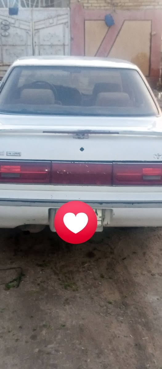 السلام عليكم كرسته كصيف لبيع مكفولة من العيب الشرعي والكصه والنقل وكافه الاصوليات مكينه وكير ونجي سنويه مشروع وطني رقم واسط السعر 40وبيه  المكان الناصريه شطره رقم راعيه ***********
