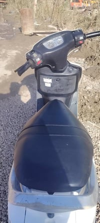 فراشه • جديده • بابل الحمزه الغربي