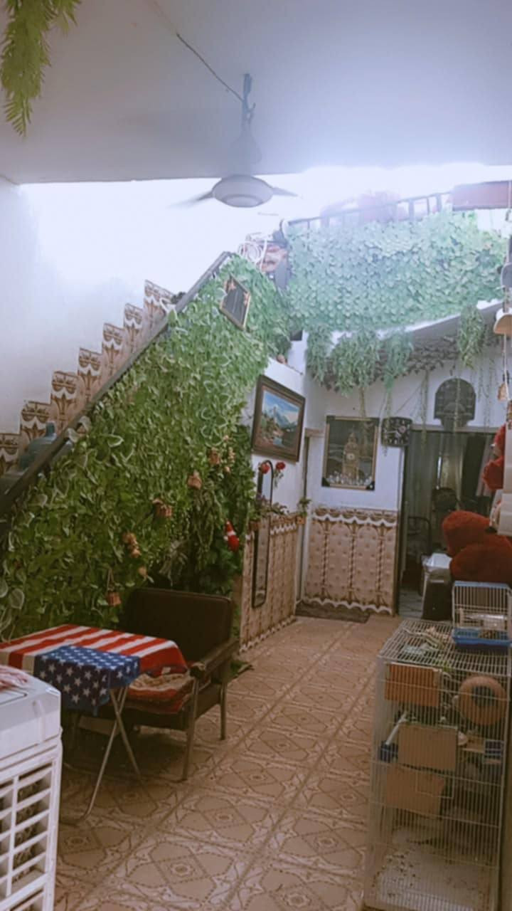 بسبب الوعود الكاذبه اعادت النشر بيت زراعي سند 25 مساحته 100 متر عالي عن الشارع بناء طابوق نهاية شارع الوكفه منطقة ال أبو جاسم خلف أسواق كرزه الموشراي لي تعبني رجا التصال علا رقم الهاتف ***********
