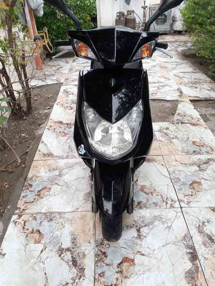 السلام عليكم للبيع سكنس فحل 

مكفوله  مكاني الجزيره السياحية بغداد 
650 وبيها شي بسيط

***********
