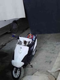 شباب دراجة ماكس عدلة للبيع مكينة 55 خير من الله شلعة ومعدل خير وبركة ا...