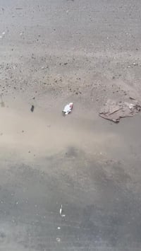 مكينه مال عشرين شغاله لبيع تحتاج تجفيت قيم واخذ 07718489559