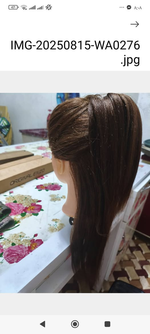 ملكانه شعر طبيعي ينكوي ينبرم وينصبغ ويتميش طول لحد كتف مع استاند منضدي للبيع عنوان ديوانيه ماعندي توصيل محافضات سعر 35


**إذا كنت صاحب هذا الإعلان وتريد حذفه لأي سبب، رجاءا أرسل رسالة إلى الدعم الفني**