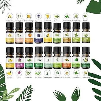 مجموعة زيوت عطرية لموزع الروائح العطرية 20 × 10 مل، مجموعة زيوت عطرية عضوية 100% لترطيب البشرة والعناية بالبشرة وصنع الشموع والنعناع واللافندر والاوكالبتوس والياسمين واليلانج يلانج وغيرها
... 
عندي بكج واحد طلع بالامزون سعرة بالموقع ١٤١ الف 
حط سعر وبالعافية


**إذا كنت صاحب هذا الإعلان وتريد حذفه لأي سبب، رجاءا أرسل رسالة إلى الدعم الفني**