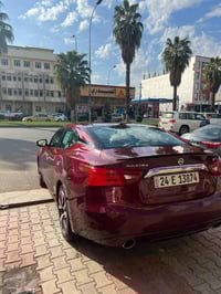 مكسيما SV • ٢٠١٧ • قطعتين صبغ