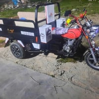 ستوته • موديل ٢١ • فحل