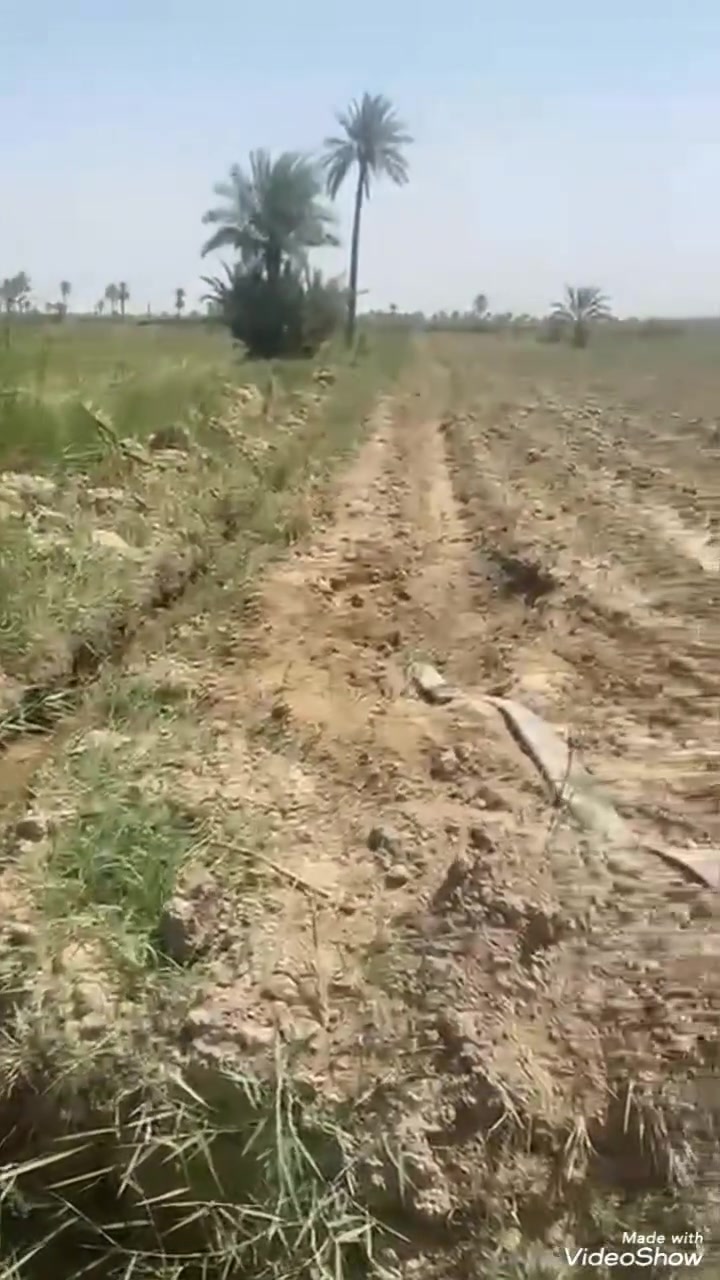 السلام عليكم عروضنا مستمرة انشاء الله بفضل الله وفضل متابعتكم للصفحة  ٤ دونم طابو زراعي سند 25 كربلاء طوريج الخيرات واجهة ٢٣متر أرض مخدومة كهرباء طوارئ وماء سقى بوجها والماء الاسالة ٢٥٠ متر عنها والدور السكنية ٣٠٠ متر عنها سعر الدونم الواحد ٢٧ مع المجال للاستفسار الاتصال على الرقم *********** او ***********  ملاحظة توجد لدينا عروض أخرى كربلاء طوريج الخيرات منطقة زبيد مواقع ممتازة واسعار تنافسية اهلا وسهلا بكم
