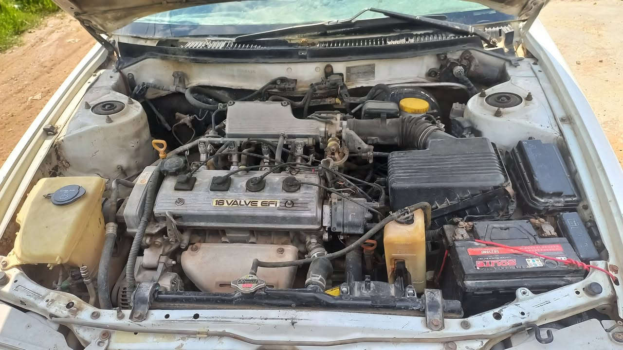 كورلا محور رقم بغداد مشروع وطني شرط التحويل مصبوغه عام مكينه وكير شرط حاويه ١٦٠٠ يحتاج ترتيب ومشط ستيرن وكذالك صدر مكانها ديالى المقداديه سعرها ٣٦ بي مجال اني مكلف بالنشر لا تراسلني فدوه 
***********
