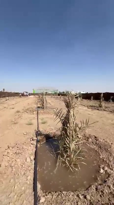 السلام عليكم تم تاجهيز. النخيل بعدت.. الصناف. وتجهيز. منظومات. الري الحديثه.٠.٠***********😘 ***********
