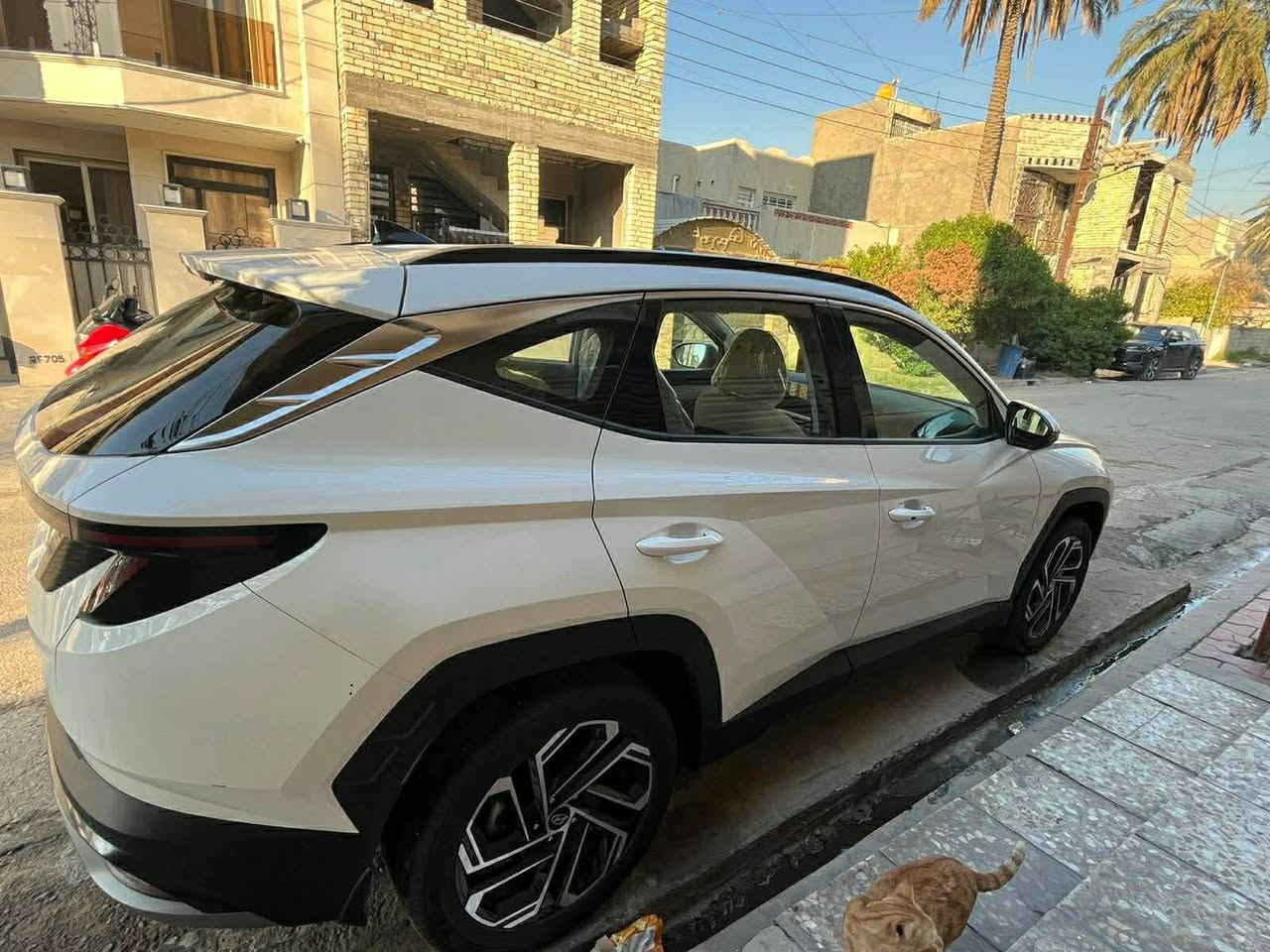 Hyundai Tucson
2025
زيرو ماشيه 1700 كيلو , رقم بغداد باسم صاحبها , فول عده البنوراما , بصمه , بصمه تشغيل , تشغيل عن بعد , شاشه متصله , كيجات الكتروني , تحكمات ستيرن , دفيوزر خلفي , بك لايت لد , اشاير بالمري , مري شفط , بجم زينون

سعر السيارة  - 238

تدفئه كراسي , تبريد قطعتين , كرسي كهرباء , هندبريك بصمه , اوتو هولد , توقف ذاتي A ستوب , مانع انحدار , مانع انزلاق ,حساسات اماميه , حساسات خلفيه , كامره خلفيه , فقط بدعاميه خلفيه شي بسيط اقل الاضفر خدش صغير باقي كفاله  , جنطه كهرباء , شاحن وايرليس , انضمه قياده 

رقم صاحب السيارة : ***********

سعر السيارة  - 238 💵
مكان السياره بغداد العامريه
