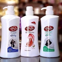 شامبوات • بضاعة العيد • التحرير الفلكه