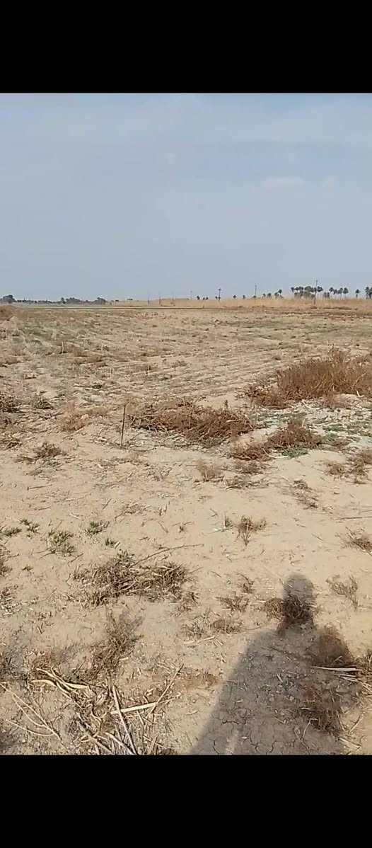 سعد الدونم الواحد (28) بي مجال تلفون *********** ابو اكرم
السلام عليكم .. في منطقة البوخنفر ارض زراعية طابو سند 25 باسمي خمس دوانم و200 متر قريبة على منطقة السچر. كاملة الخدمات ماء اروائي وماء اسالة وشارع تبليط وكهرباء الارض بصف جدول علي سليمان واجهة 114 ونزالها 112 تقريبا ويوجد محرمة  مساحة 400 متر تقريبا يستخدمها المشتري ليست من ضمن الارض المعلونة للبيع واحهة الارض حلوة وما اعتقد تلاگي هيچ واجهة بهيچ سعر والارض صالحة للزراعة ارض خصبة  .. للعلم ترهم لعملها شاليهات  او مكان ترفيه .. بجانبها  ارض العمل مستمر فيها للشاليهات والترفيه.
