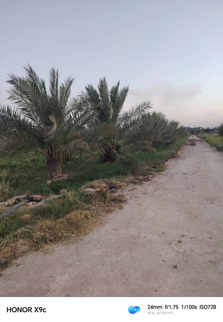 بيت للبيع المساحه ٢٧٠
طريق نجف كربلاء عمود 1164
مع 2دونم
***********
