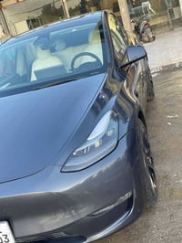 تسلا Y • ٢٠٢٣ • دبل ماطور