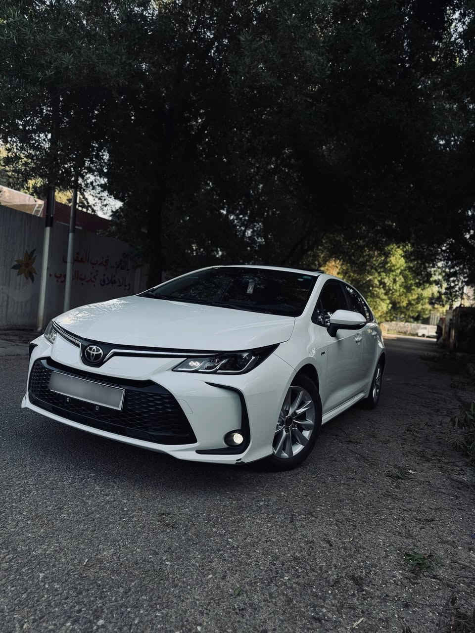 السلام عليكم .. كورلا هايبرد موديل 2025 وارد صيني
اللون ابيض محرك 1800 هايبرد
فول مواصفات شاشة بلاديه جبيره كار بلي كشنات جلد فتحة سقف وباقي المواصفات المعروفة
السيارة بأسمي رقم بغداد الجديد هزه وفحص كامله
تحويل مباشر،  ماشية 20 الف السياره جديده بمعنى الكلمة، تايرات جديده صدر بلادي طستها حيل حلوه وترايها ناعم، جاهزه بدون اي مصرف حتى الارضيات مالتها مال شركة بعدها بالغلاف مالتها السياره مكفوله كفاله عامه مكان السياره بغداد السعر 152 ورقه وبيها مجال بسيط جداً
للتواصل ***********
