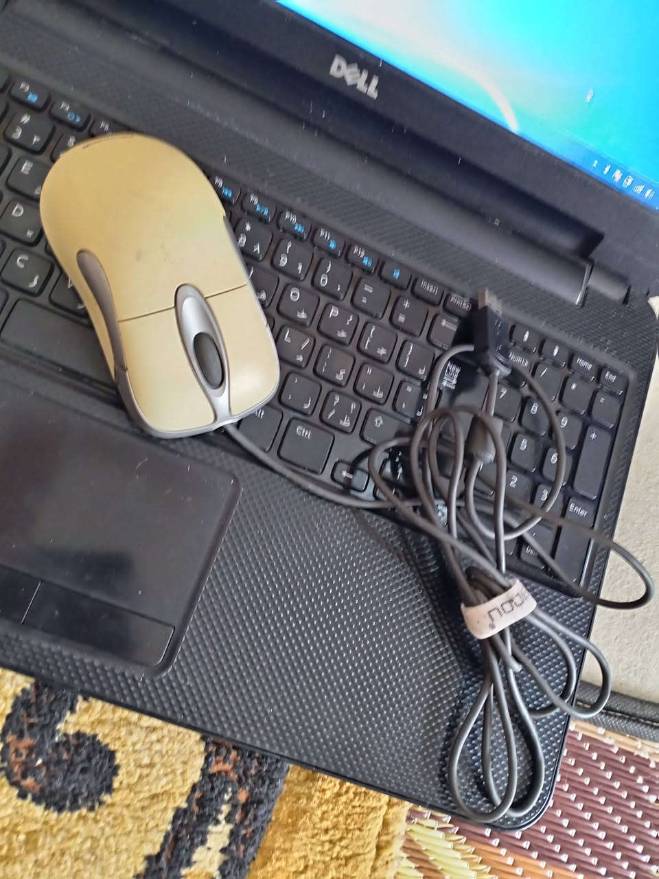 سلام عليكم لابتوب من شركه DELL للبيع سعر 120 الف وبي مجال بس بطاريته يعوزها تبديل يشتغل على الكهرباء لابتوب من شركة DELL اصلي
المواصفات:
• شاشة 15.6 إنج Full HD
• ذاكرة SSD256GB قابلة للزيادة
• الرام  4GB+4GB
• نظافة 98%
• تصميم سوبر سلم نحيف ووزن خفيف

• حقيبة هديه
• شاحن  أصلي يدعم الشحن السريع
.  ماوس هديه 
عنواني قضاء مخمور _الموصل 
رقم  ***********

سلام عليكم لابتوب من شركه DELL للبيع سعر 120 الف وبي مجال بس بطاريته يعوزها تبديل يشتغل على الكهرباء لابتوب من شركة DELL اصلي
