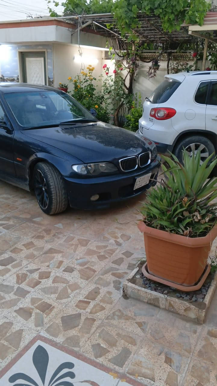 بيع او مراوس ***********
