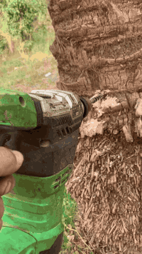 كادرمكتب محمود السلماني مستمرين بالحقن ومكافحة النخيل المصاب وغير المصاب بسوسة النخيل
السعر 1000دينار النخله كامل مع المبيد 
***********
***********
