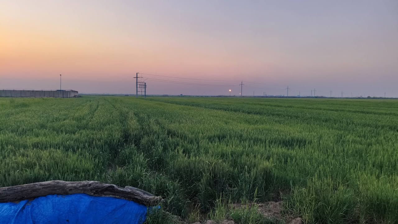 توجد ارض زراعيه للبيع 13دونم تبعد عن الشارع العام كيلو موقع الارض واسط الاحرار قرب  حقل الاحدب النفطي وعلى صدر الكاع شارع سبيس مياه صيف شتاء متوفر للاتصال او الستفسار ***********
