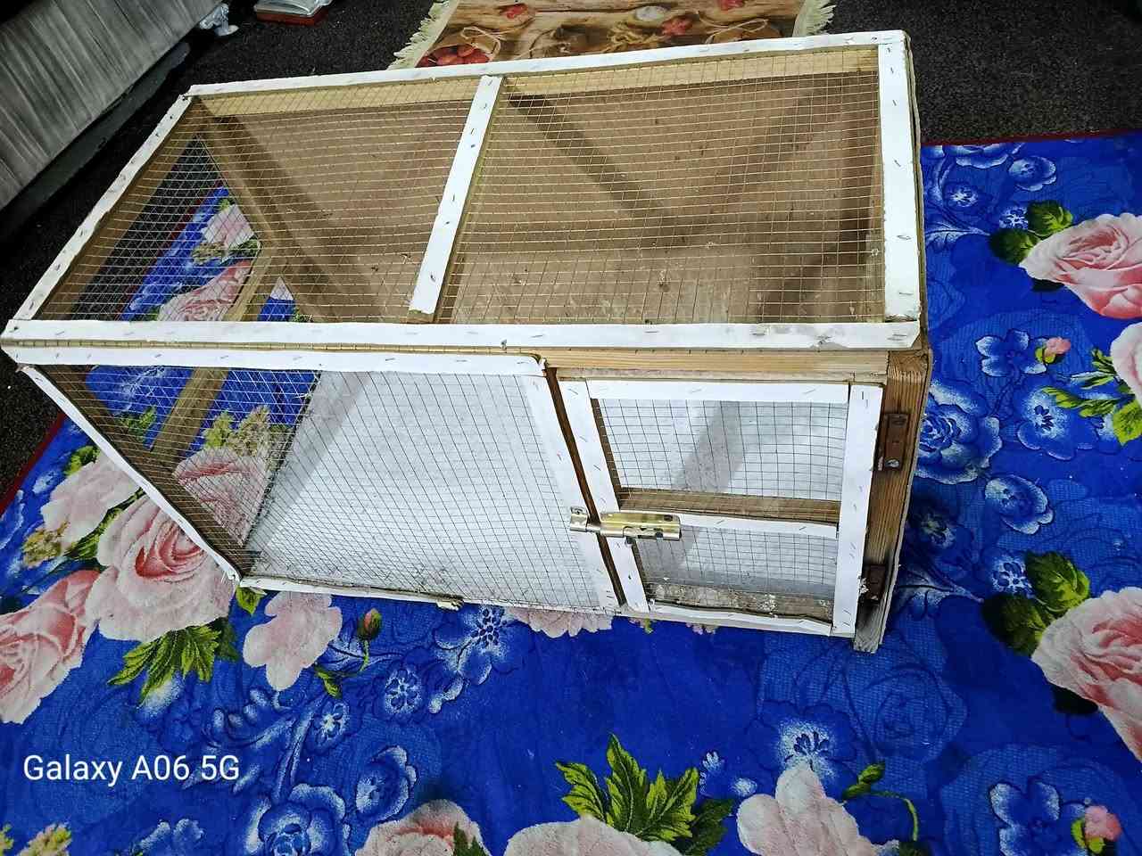 قفص خشب تفصال طول متر /السعر


**إذا كنت صاحب هذا الإعلان وتريد حذفه لأي سبب، رجاءا أرسل رسالة إلى الدعم الفني**