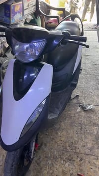 مراوس • جبلي