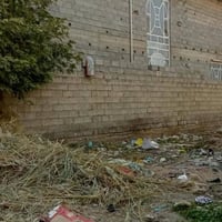 مقابل بيت موحان • ٢٠٠م • واجهة ٨م