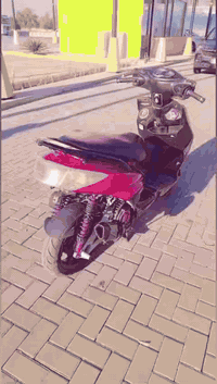 السلام عليكم سكنس فحل  نوزل. مكينه 58  كلجات RGS بيه تزويد بسيط.  مثل
قبغـ. بلاوين 🍒
قطره دهن .🍒
قبغـ جوزه. 🍒
دبلات خلفيه 🍒
 صالنصه رياضيه ..🚩
 كلجات RGS..🚩  وداجه شوفت عينك شلون كاعده ومرتبه.   نقصه بس بارد مال سلف تقويه.   وذيل.    السعر خاص.   او 500 وبيه مجال نشالله.   رقم. الهاتف ***********.  وتحياتي للطيبين نشالله ..♥️
