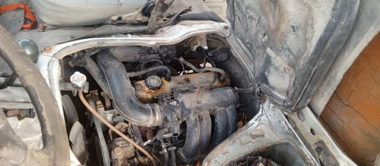 السلام عليكم اخوان كيفتون تفصيخ واللي يريد من عندها اغراض نبيله واللي يريد من عدا السياره تلهم بيعها الى مكلف بالنشر واتساب ماكو ***********
