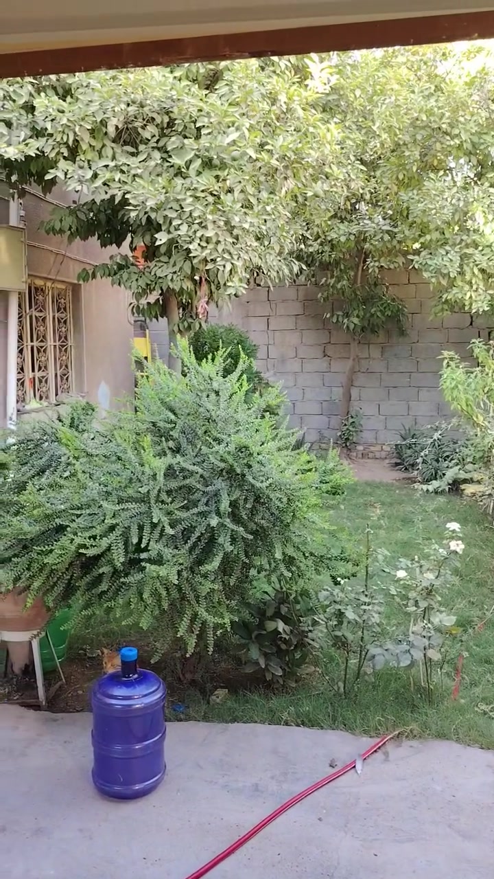 بيت للبيع طابو صرف مساحه 268
لمحاويل حي الجمهوري على شارعين
قرب شارع الأطباء ***********
 ***********
