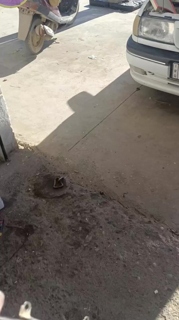 تصليح الأيرفلو بالوصل والضمان الحقيقي والاسعار المناسبة⚡✌️✌️
#تصليح  وتصفير وتبديل كرت ((#خرائط_الايرفلو )) نوعية درجة أولى مع ضمان حقيقي شهرين ومابعد الشهرين فحص مجاني

Opel:vectra.. omega.. senator.. . Bmw

مع ضمان حقيقي والتعيار بالجهاز والسحب والنشاط ومعالجة صرف البانزين

⭕فحص وتبديل الفيت بمب والجك ولف

⭕تصليح كهربائيات السيارات وفحص TPS وفحص الايسي

⭕تصليح كرت الوان للسيارات البيئم 

⭕أدامة للسيارات بلكات واير بلك تنضيف الجويتر

⭕تقوية إنارة لايتات إضافة ضفيرة جديدة مع الكتاوت للـ لايتات ...

⭕ربط مسجلات و وتركيب #شاشات الايباد وكاميرا لجميع سيارات الحديثة والقديمة

⭕تركيب مضخمات صوت الامبلي فاير (الدمام) 

⭕تركيب نشرات

✅فيت پمپ داخلي وخارجي

✅وايرات بلك درجة اولئ 8mm

✅تبديل بلكات أصلية

✅تنظيف النوزلات 

✅تبديل فلتر شوته

✅تبديل فلتر البانزين

✅فحص الفيت بمب والجك ولف

✅فحص التي بي اس

✅فحص وتعيار الايرفلو

✅فحص واير بلك

✅تنظيف الجويتر

✅تنضيف الايسي 

✅تصفير العقل 

✅مصابيح(كلوبات Led ابيض والثلجي)

.................................

واي استفسار راسل او اتصل نرد عليكم بأقرب وقت

نتشرف بالكل وتحياتنا لكم🌹🌹

للأتصال//فايبر&واتساب

 كورك ***********

اسيا ***********

العنوان //(((موصل - برطلة حي صناعي محل رقم 3)))

ملاحظة ليس لدينا فرع آخر بالموصل فقط برطلة ❤️❤️❤️❤️
