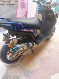 سكنس جبلي • مزوده • مرتبه