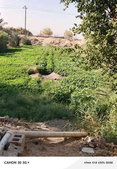 السلام عليكم ورحمه الله وبركاته ارض زراعيه شاطيه تقطع على نهر ديالى مساحه الارض دونم وربع واجهيه ٢٤ ونزال ميتين ٢٠٠ متر تحتوي على دارين واحد بناء حديث ٢٠٢٣ . واحد قديم مسيجه داير مادور بسعر مناسب خابر وتدلل المكان سده الكرغوليه محاديه نهر ديالى قريب جسر الحديد من يم اسواق استنبول وتنزل يسرى موقع حلو ***********
